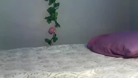 Bee Bee online show from October 12, 5:22 am