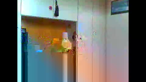 luxx72boy online show from January 11, 9:47 am