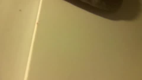 luxy77 online show from December 17, 3:30 pm