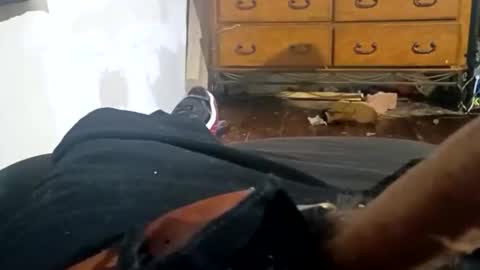 Lvac11 online show from November 24, 12:31 am