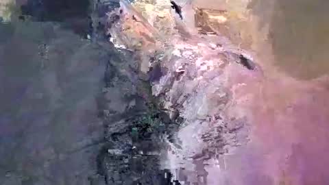 maho0 online show from December 13, 7:36 am