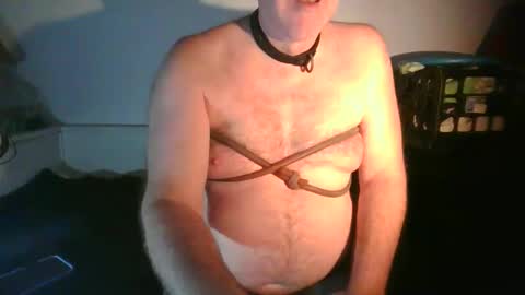 CommandbondageNipples bondage kink submissive lovense slave wgear. modequiethvyBondage If Password goldfish online show from November 29, 5:53 pm