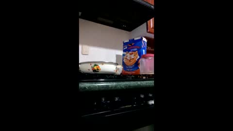 martin75edomex65 online show from December 21, 1:45 am