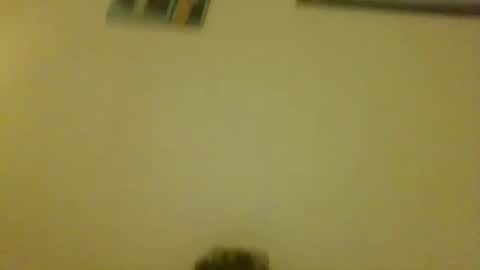 thick cock online show from January 10, 10:37 pm