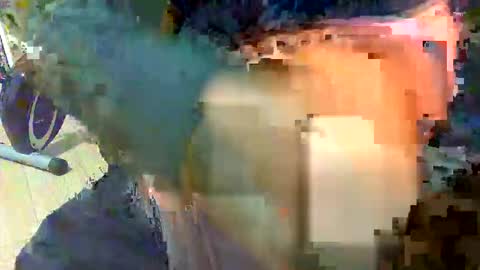 mastercock19586 online show from February 11, 8:45 pm