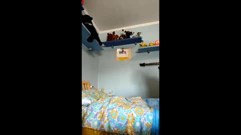 masterlind17 online show from May 20, 9:38 am