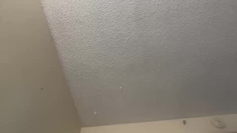 Snapshot of maurijuanaaz chatting on October 19, 2:33 pm maurijuanaaz online show from October 19, 2:33 pm