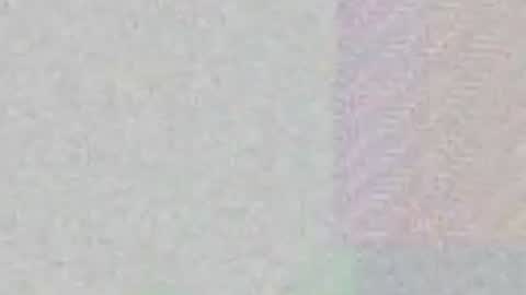 Max Taylor online show from April 7, 3:52 am