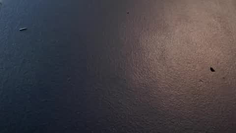 Snapshot of maxwellandpam chatting on January 29, 5:09 am Max and Pam Voyeur Cam online show from January 29, 5:09 am