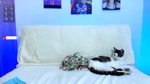 Mazi keen online show from March 15, 2:05 am