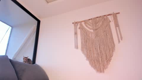 megan online show from January 3, 10:51 pm