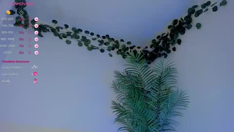 megancarlott_ online show from March 1, 5:31 am