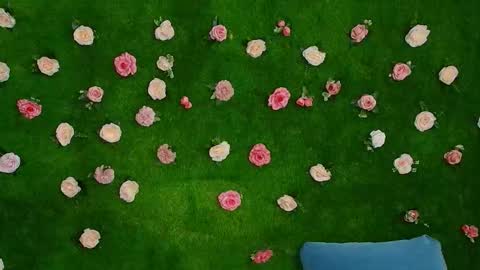 megatitts_ online show from November 12, 10:12 pm