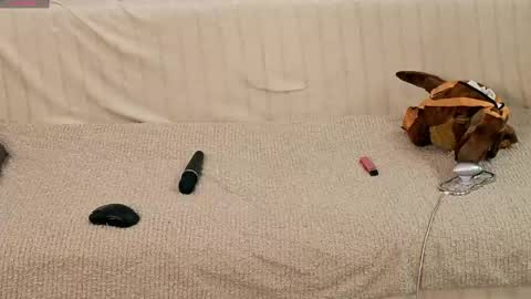 melliscute online show from April 12, 6:23 pm