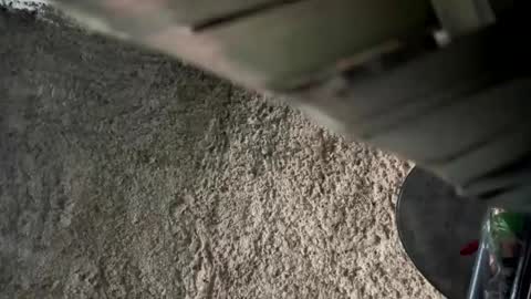 melodysnow online show from January 9, 12:55 pm