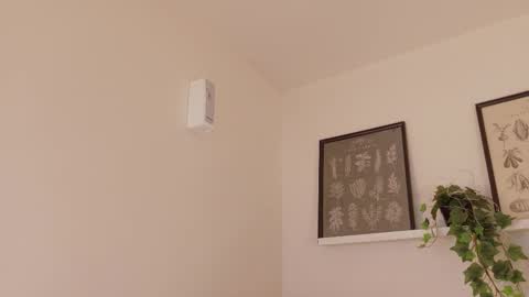  Memphis Williams  online show from February 15, 12:04 pm