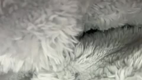 menarethebest123 online show from June 17, 2:49 am