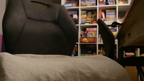 Snapshot of meneerkaas chatting on December 29, 4:30 pm meneerkaas online show from December 29, 4:30 pm