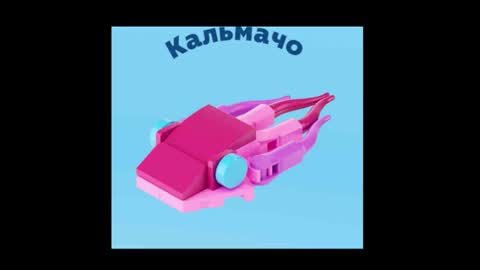 meowcr online show from March 4, 4:04 pm