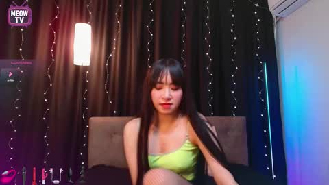 meowkami online show from February 17, 3:27 am