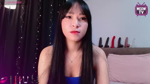 meowkami online show from September 15, 12:45 am