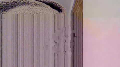 Mauro online show from February 15, 10:52 pm