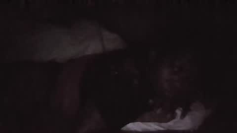 Meybel online show from November 23, 12:47 pm