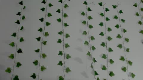 MIA online show from February 3, 10:25 pm