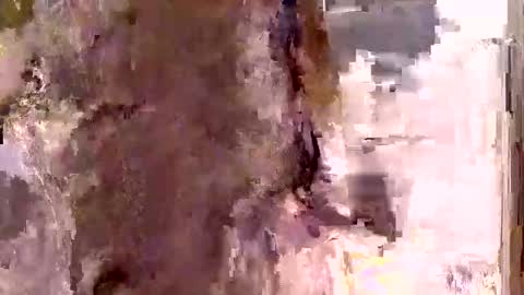 mickavis1975 online show from January 10, 6:24 pm