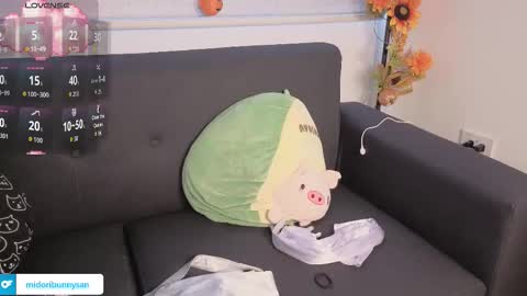 midori__san online show from November 15, 2:29 pm