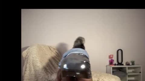 Charlotte online show from February 11, 3:54 am