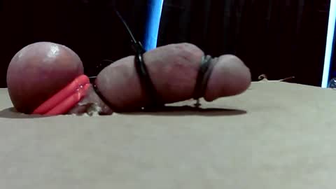 milk me dry online show from February 25, 4:54 pm