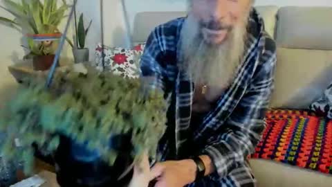 mindphuk online show from November 15, 4:47 am