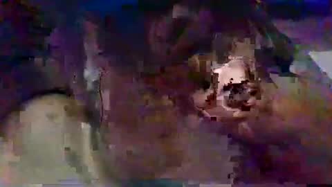 minoas31 online show from February 17, 8:16 pm