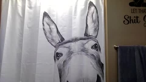 MissEeva online show from September 11, 6:09 pm