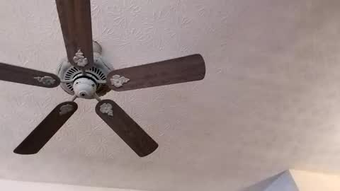 BobbyMitchGa online show from February 23, 3:40 pm