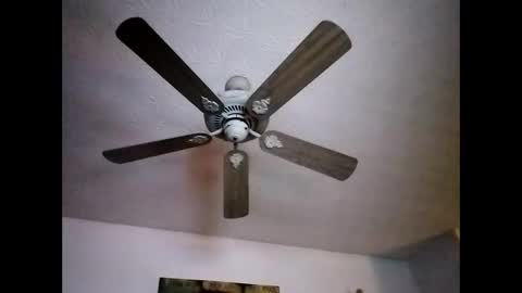 BobbyMitchGa online show from December 22, 12:05 pm