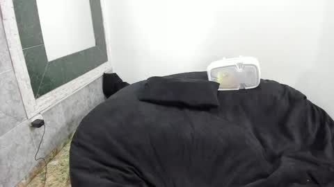 monkeyd_66 online show from February 18, 9:10 am