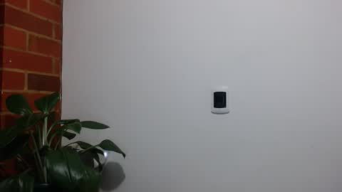 Abelardo online show from April 20, 4:15 am