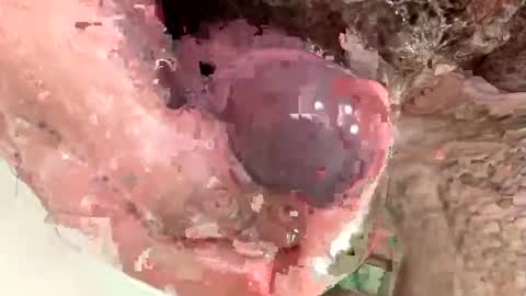 Me online show from January 18, 9:35 pm