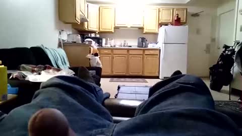 mr732995 online show from January 18, 2:25 am