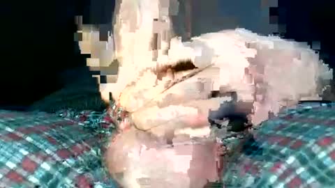 Snapshot of mrbigd1988 chatting on January 21, 2:48 pm mrbigd1988       online show from January 21, 2:48 pm