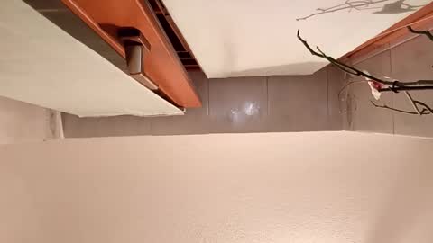 mrjany69 online show from October 16, 9:13 pm