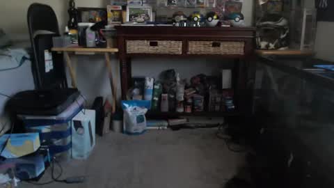 mrsoonicexrated online show from November 15, 2:29 pm