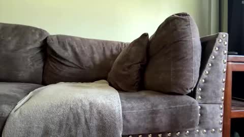 mrwopp1 online show from September 17, 1:58 pm