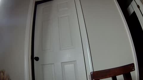 missqueenbbw online show from December 2, 3:40 am