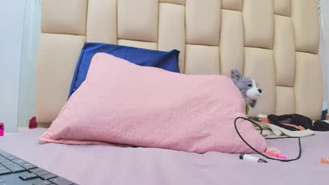 FERNANDA 3 online show from December 16, 3:03 am