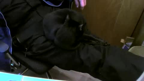 muller520 online show from February 26, 3:43 pm