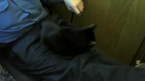 muller520 online show from April 20, 4:43 pm