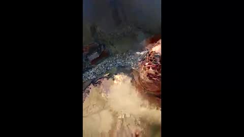 mullig1957 online show from April 19, 8:22 pm